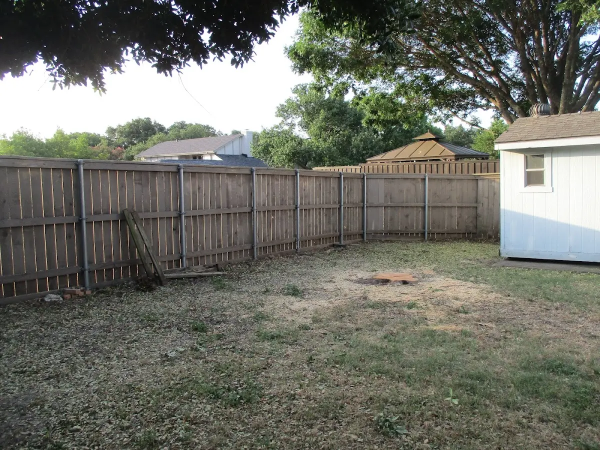 Cleared yard after professional tree removal in Coxsackie